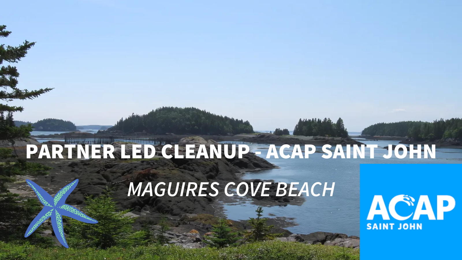Great Fundy Coastal Cleanup on Maguires Cove Beach